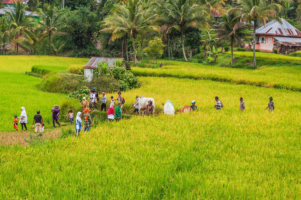 Bali od kuchni: gdzie jedzenie rośnie tuż obok stolika, przy którym jesz
