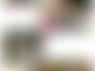 1年生が季節の変化を実感しました