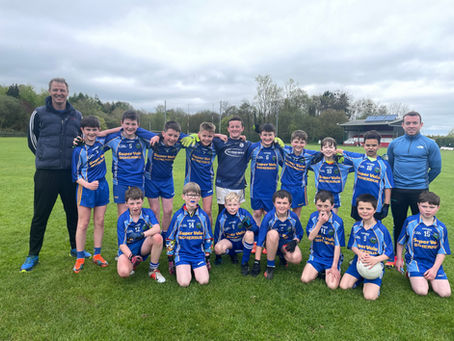 Sciath na Scoil Football