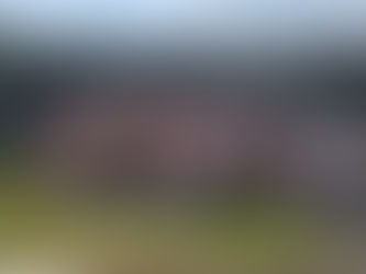 Our School Tour 2023