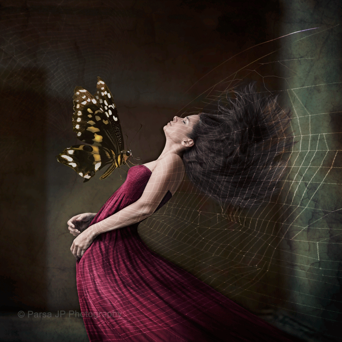 Parsa Jamalpour I Fine Art Photographer