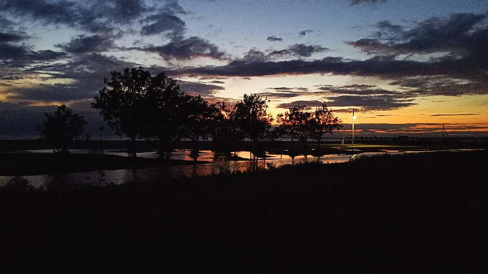 The language of Earth