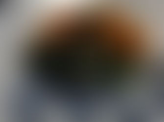 Be a food waste warrior