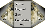 VBSF Logo.png