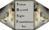 VBSF Logo.png