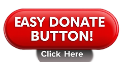 create a red 3d button that says _EASY DONATE BUTTON! (Click Here)_.png
