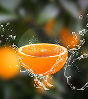 Transparent Orange.jpg
