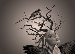 crow lady