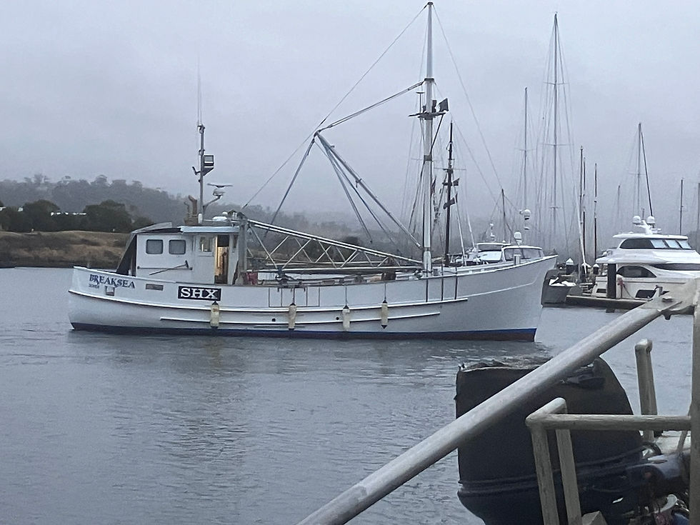 Breaksea relaunched and looking magnificent