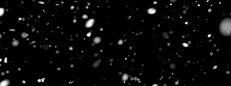 SNOW.gif