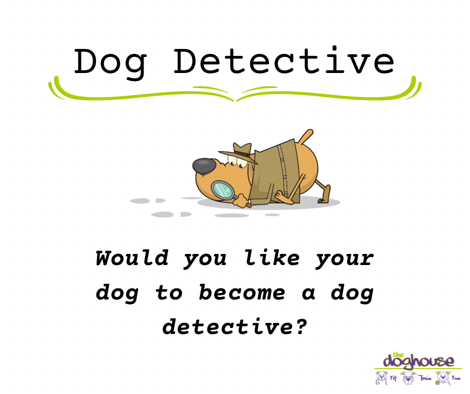 Dog Detective
