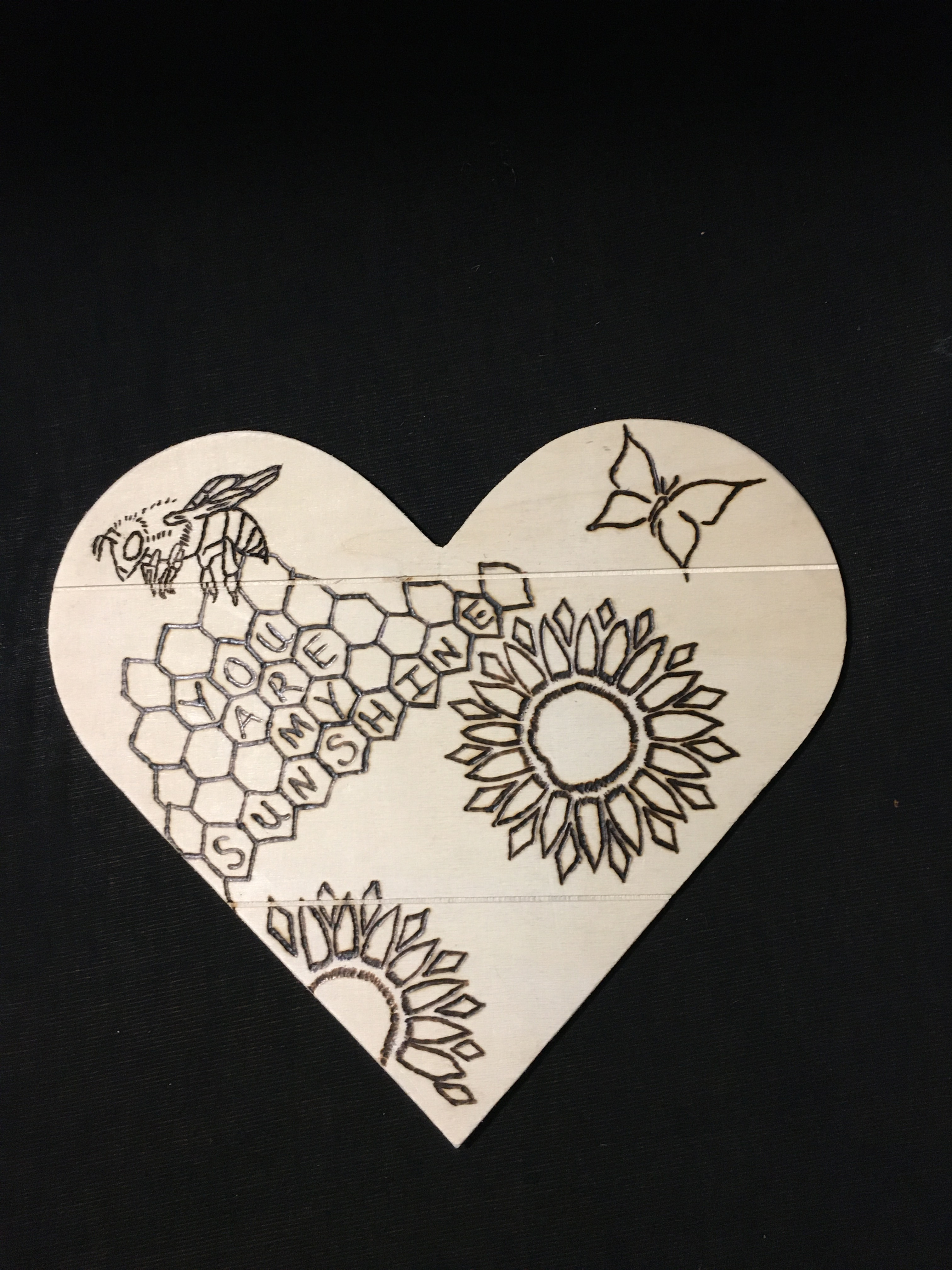Sunshine Heart