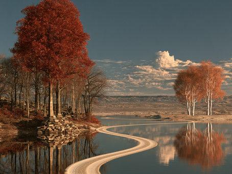 The Geography of a Life