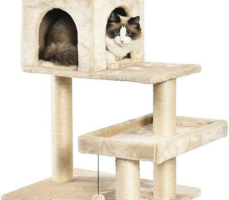 Top 5 Cost Effective Cat Activity Tree with Scratching Posts