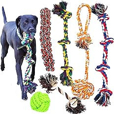 Youngever 6 Pack Dog Rope Toy