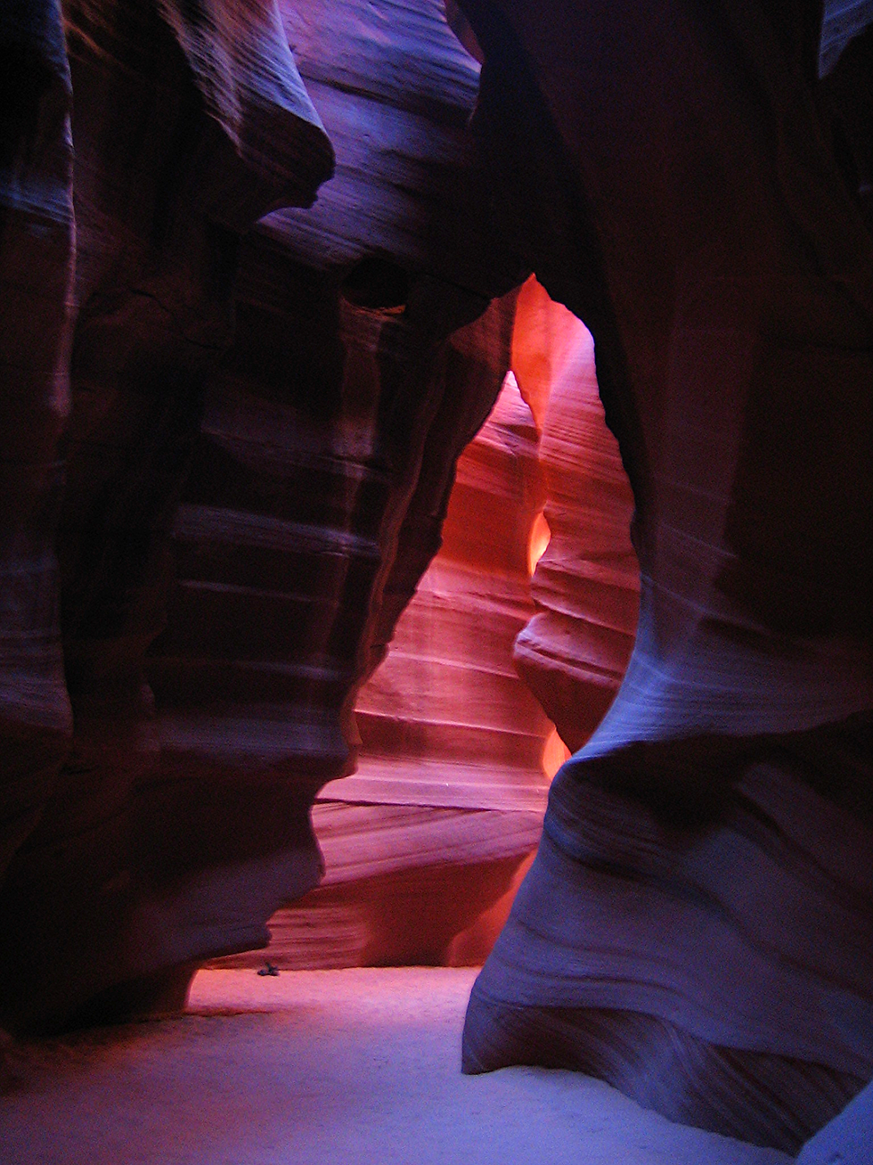 The Bear of Antelope Canyon