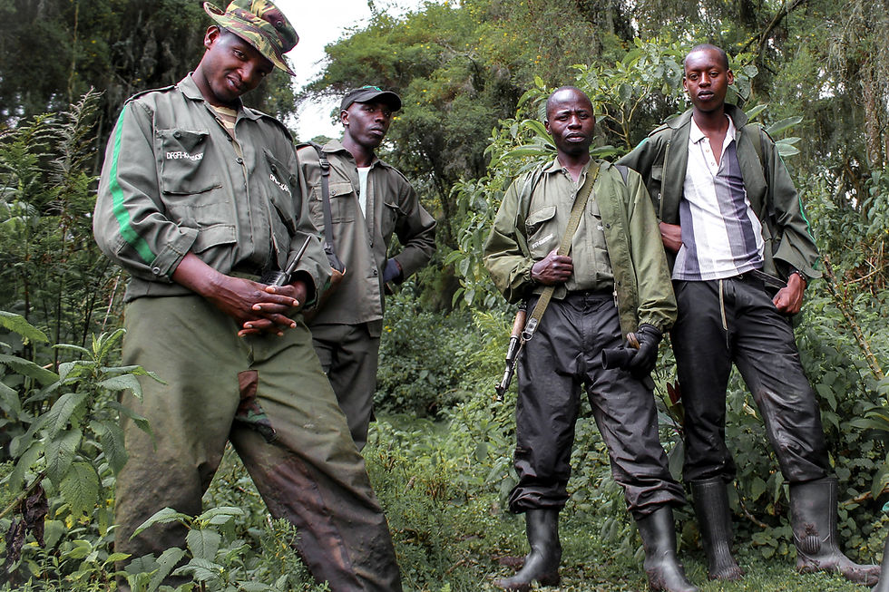 Rwandan Gorilla Guides