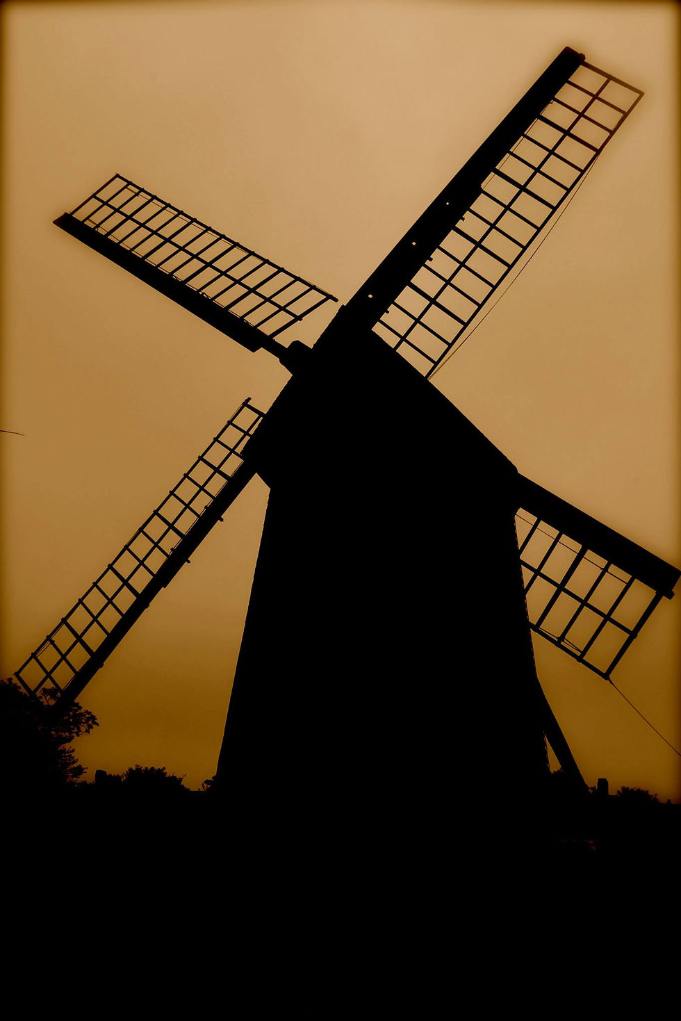 1233043_10200545624263383_1816008180_o.jpg