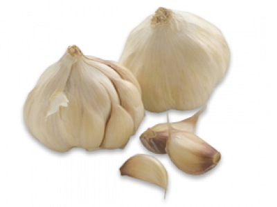 Garlic- Bawang Putih