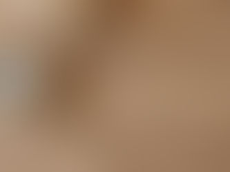 Piso Vinílico vs. Laminado: Qual é a Melhor Opção para Sua Casa?