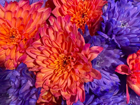 The power of a decision