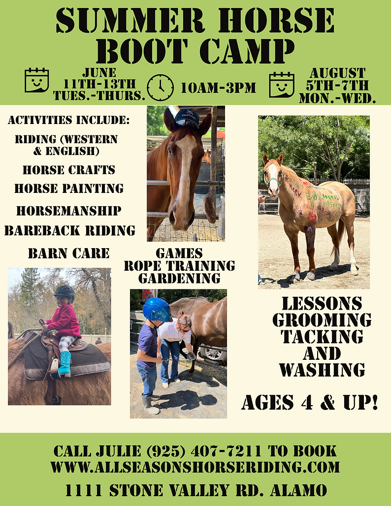 Horse Lessons Alamo and Danville All Seasons Horse Riding