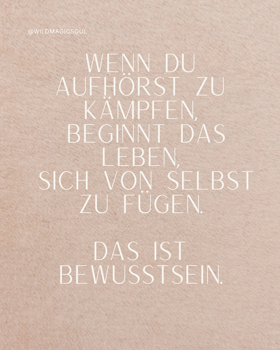 souly academy wildmagicsoul onlinekurse für selbstvertrauen und selbstfindung