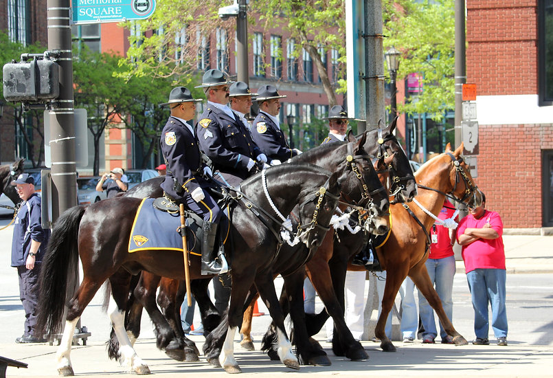 About Cleveland Mounted Police