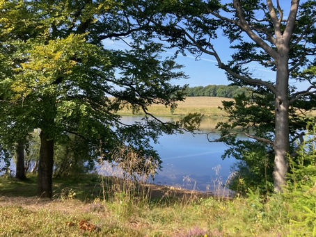 Stay in Stillness - Know Your Power