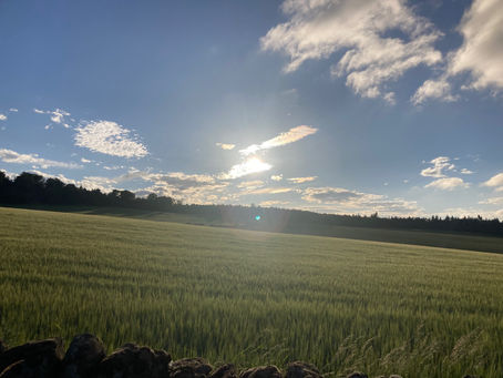 Sirian Transmission – Current Energies