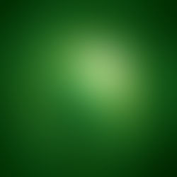 Racing Toward Sustainability, Not Greenwashing