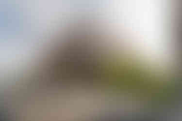 Lamotte - Petit Bruges - Romuald Nicolas - WEB (8 sur 86)