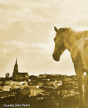cavalo.jpg