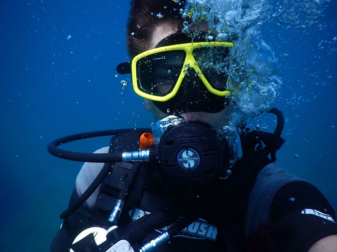 dive-g1d92e8c1b_1280.jpg