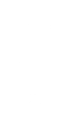 Seepferdchen von Specialdive