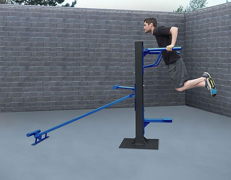 StayFIT
SuperMAX Triceps Dip and Decline Sit-Up Station