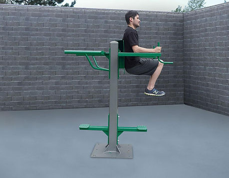 StayFIT
SuperMAX Vertical Knee Raise, Triceps Dip Station
