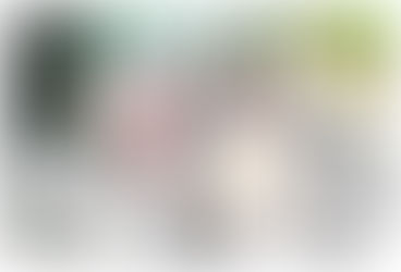 2022/6/4~6/9【ゆるっとホリディ展♪ぴよ手帖・可哀想に!・鳥谷丁子・STUDY優作 4人展】