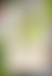 2019/9/2~9/8【ART FOOD COURT】