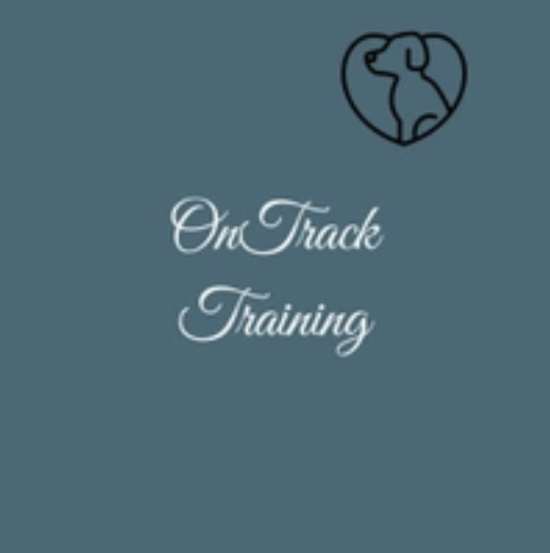 OnTrack Training — Web Design by Brand 513 Collective