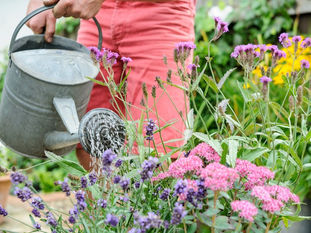 gardeniing and plant care for stress relief and relaxation- easy & fun