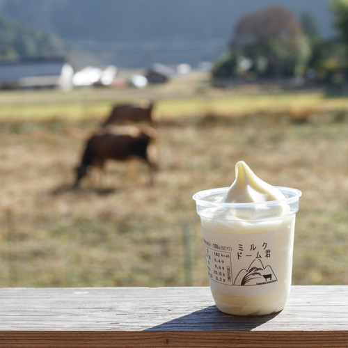 ドーム君6個セット | 自然食品の山吹グリーンファーム