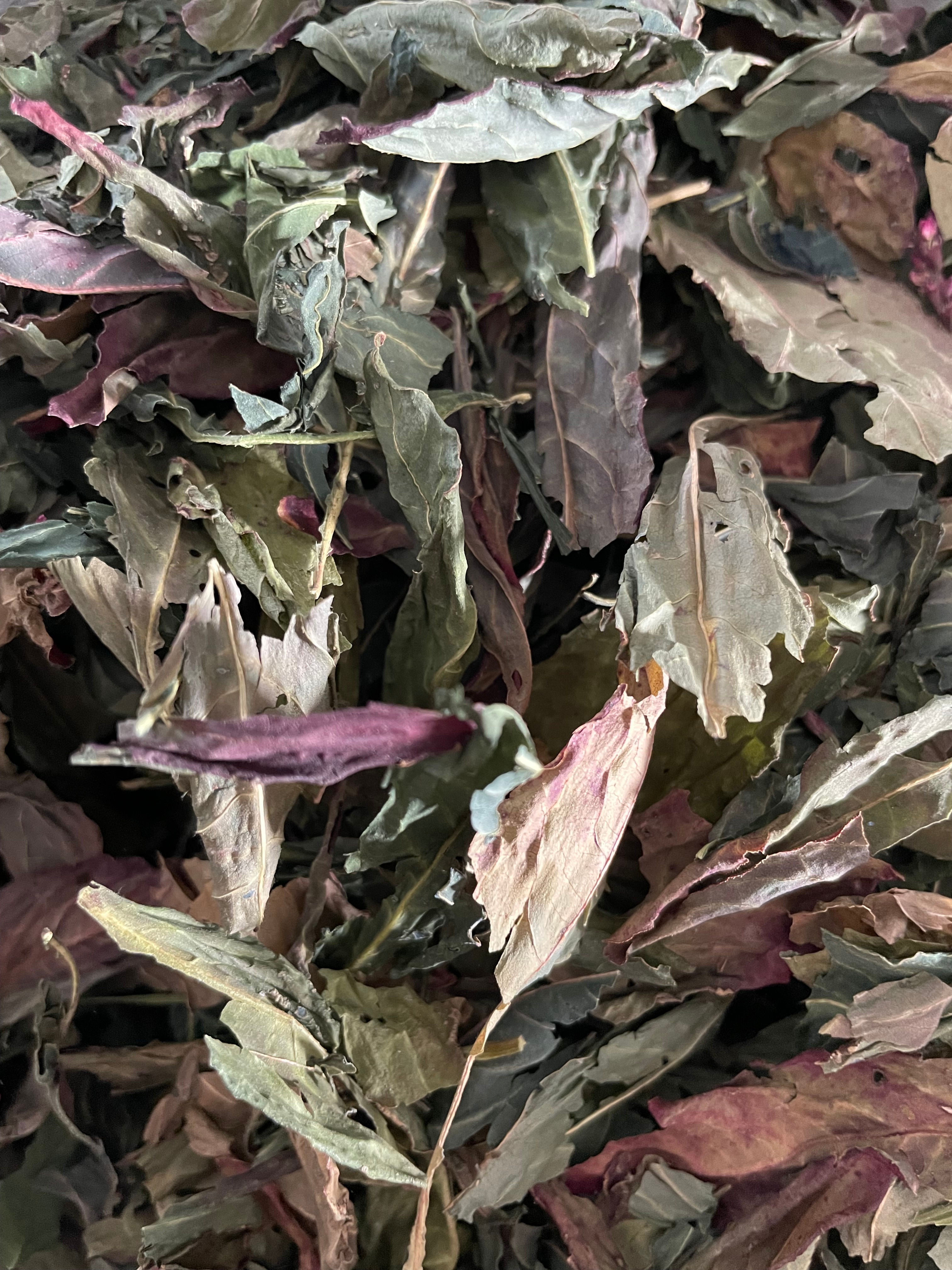 Feuilles indigo japonais séchées-100 grammes
