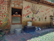 Asas da Floresta (18).jpeg