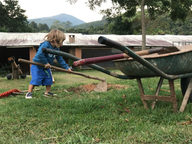 Asas da Floresta (10).jpeg