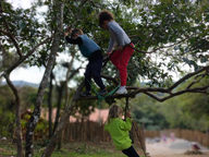 Asas da Floresta (7).jpeg