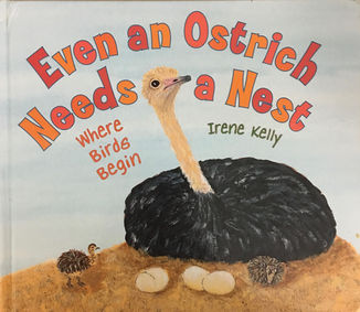 Even an Ostrich Needs a Nest