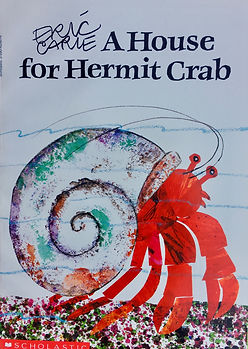 HOUSE FOR HERMIT CRAB IMG_1165.jpeg