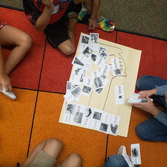 Sorting with the Kinder Bunnies