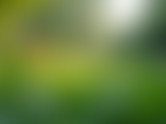 The Importance of Sustainable Living in Today's World